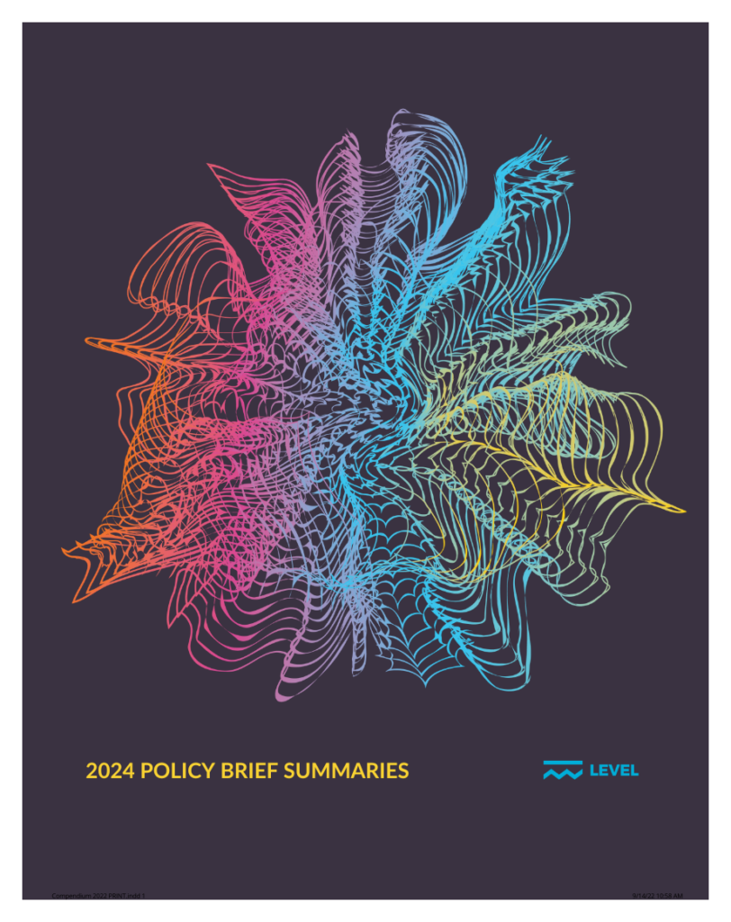 Title page for the 2024 Policy Project Summaries